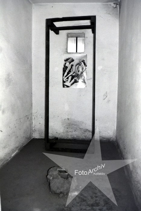 Bild 15
