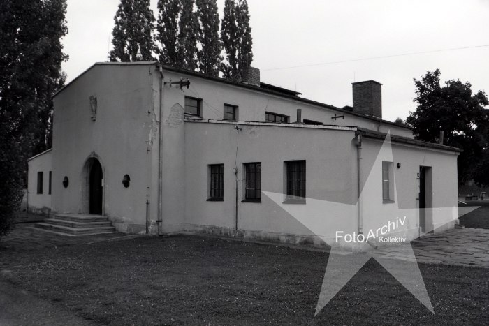 Bild 19